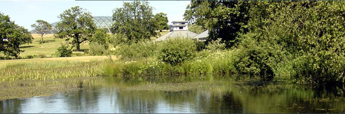 The Great Glasshouse.