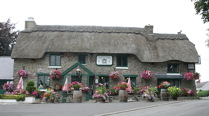 The White Hart Thatched Inn at Llanddarog